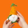 Cara the Carrot Crochet Kits